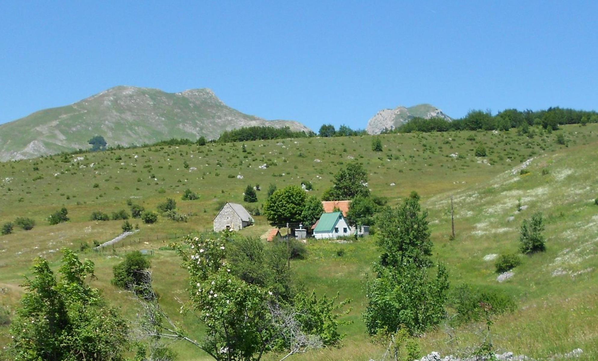 Suri Guest House Plužine Exterior foto